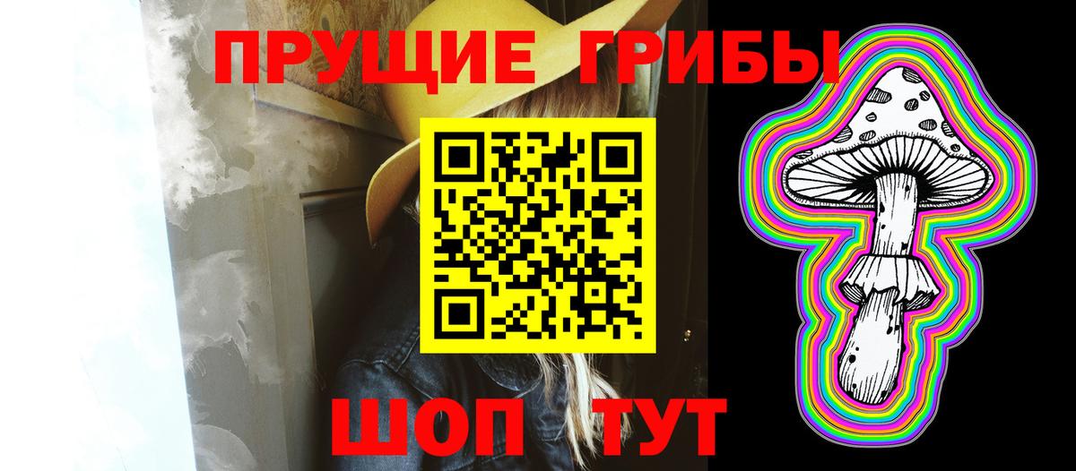 Сальск  Псилоцибиновые грибы Cubensis  Вход с VPN 