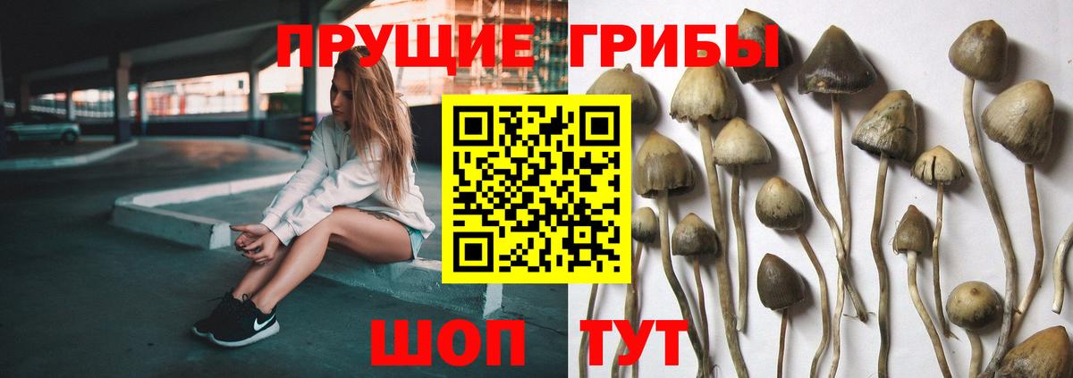 COCAIN  Меф МЯУ МЯУ   Сальск  Вход с VPN  Сколько стоит  ГАШ 